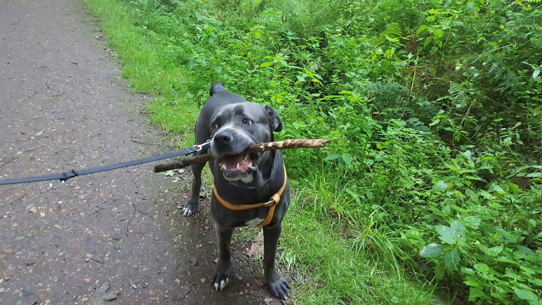 Kama ma dwój dom!!!